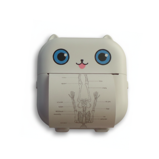 Mini Impresora Portátil